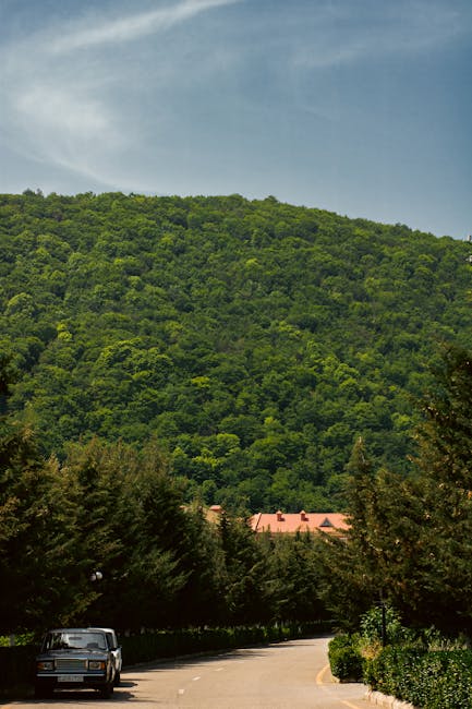 Economies d'energie a la maison