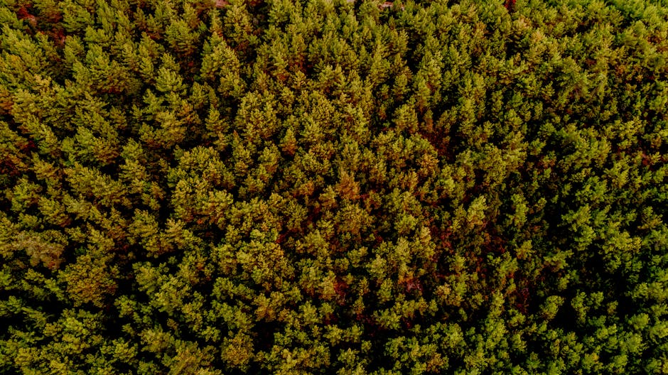 Economies d'energie au quotidien